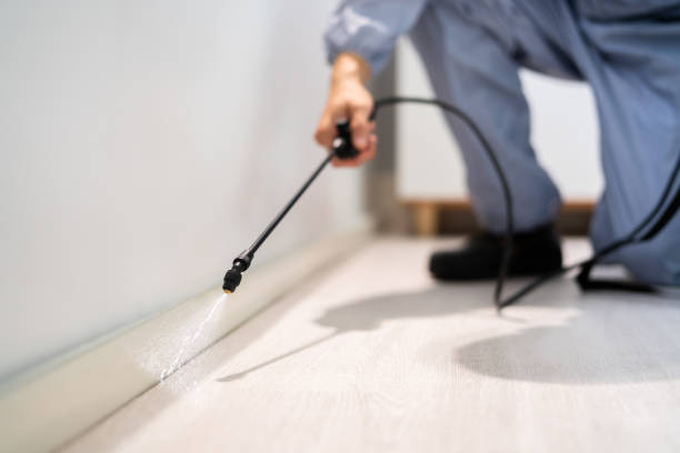 Licensed Cockroach Control service in Sardis, MS - Nex Pest Control